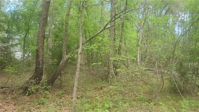 Lot 6 Thornwood Drive, Plantersville, TX 77363