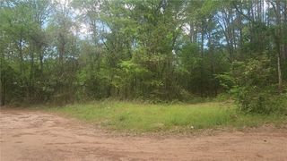 Lot 6 Thornwood Drive, Plantersville, TX 77363