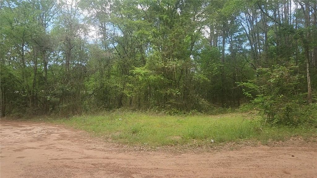 Lot 6 Thornwood Drive, Plantersville, TX 77363