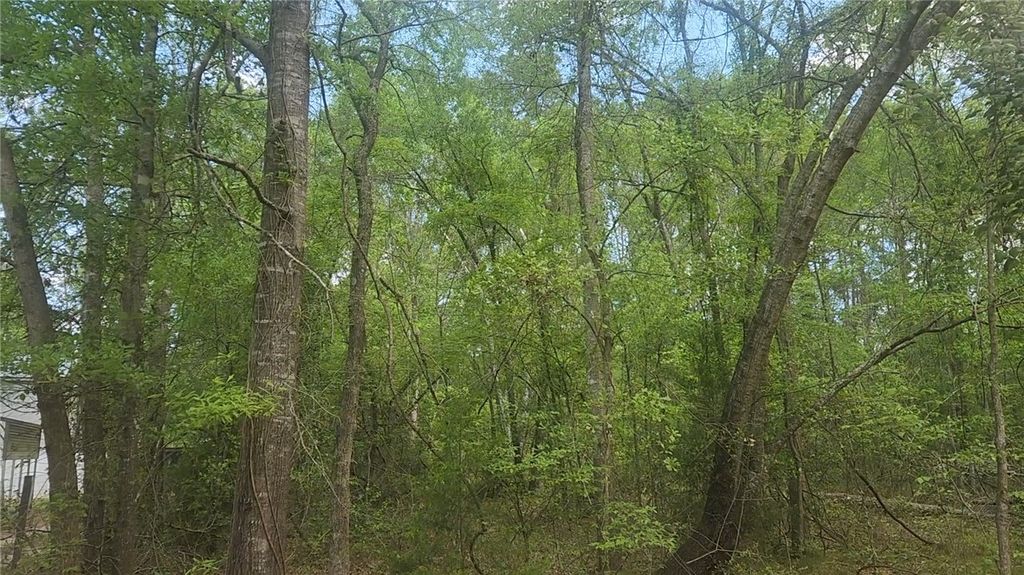 Lot 6 Thornwood Drive, Plantersville, TX 77363 — photo 3