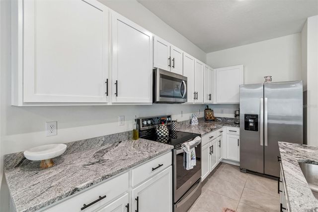 17245 AMBER ASPEN WAY, Land O Lakes, FL 34638