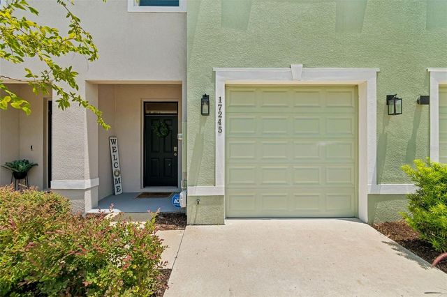 17245 AMBER ASPEN WAY, Land O Lakes, FL 34638