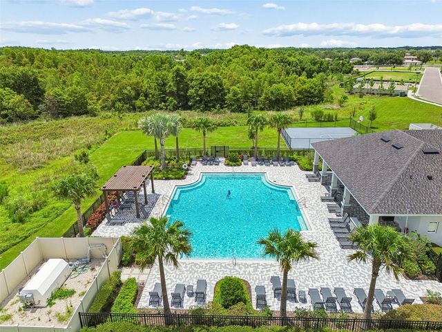 17245 AMBER ASPEN WAY, Land O Lakes, FL 34638
