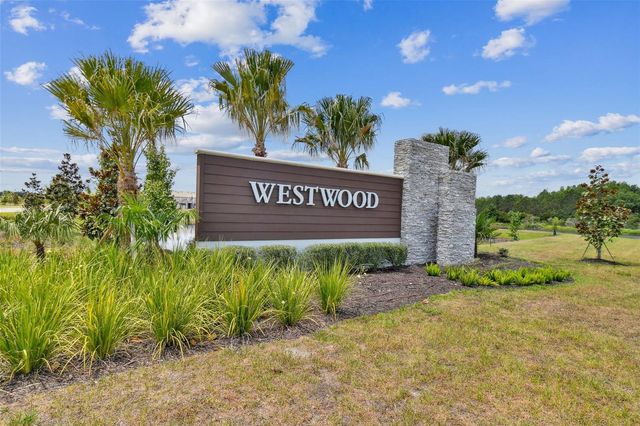 17245 AMBER ASPEN WAY, Land O Lakes, FL 34638