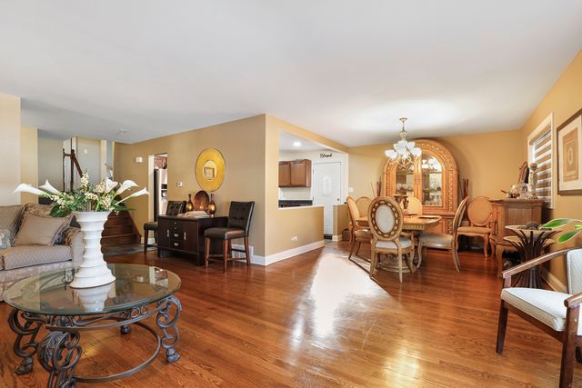 223 W Rainbow Drive, Glenwood, IL 60425