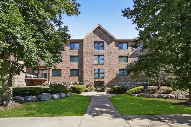 11001 Deblin Lane 203, Oak Lawn, IL 60453