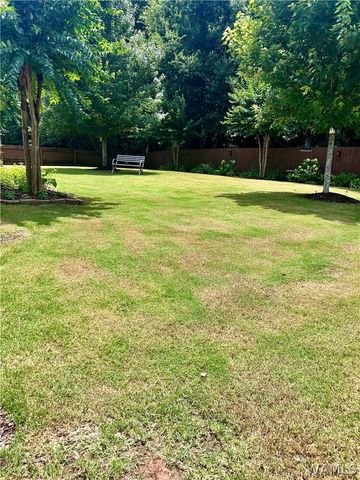 11563 Lindsay, Northport, AL 35475