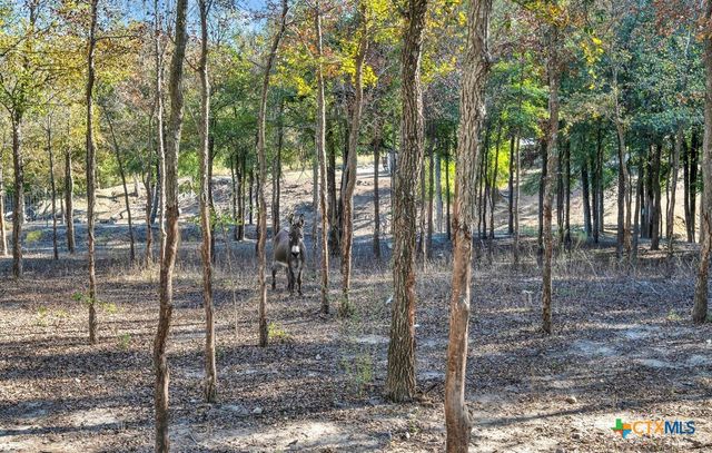 1445 Remington Circle, Moody, TX 76557