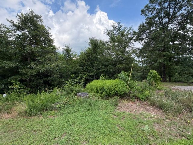 Lot 10 and 11 Marisco Lane, Bella Vista, AR 72715
