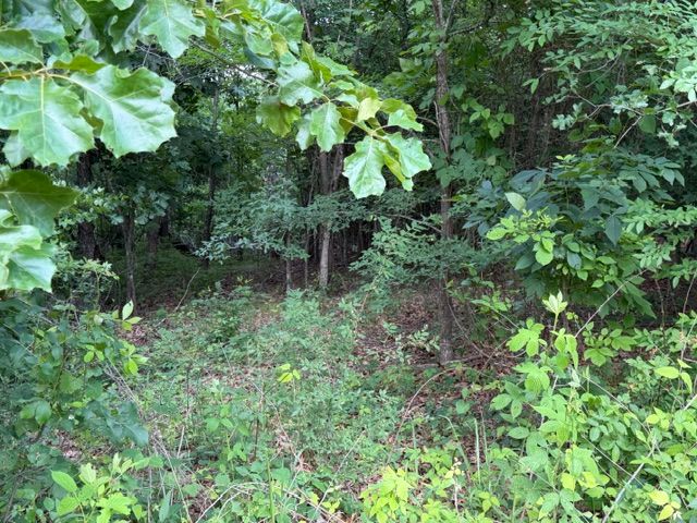 Lot 10 and 11 Marisco Lane, Bella Vista, AR 72715