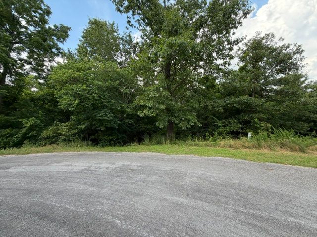 Lot 10 and 11 Marisco Lane, Bella Vista, AR 72715