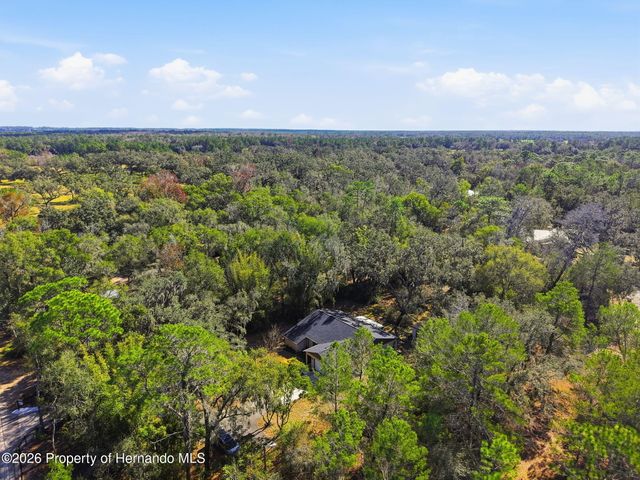 16426 Forzando Avenue, Brooksville, FL 34604