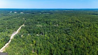 0 Branch Hebron Road, Greenville, GA 30222