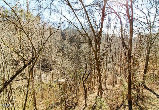 316 Saddleback Way, Sevierville, TN 37862