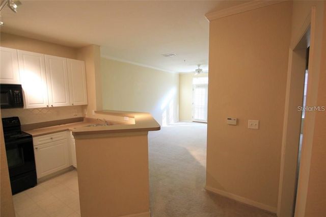 4221 W SPRUCE STREET 1231, Tampa, FL 33607