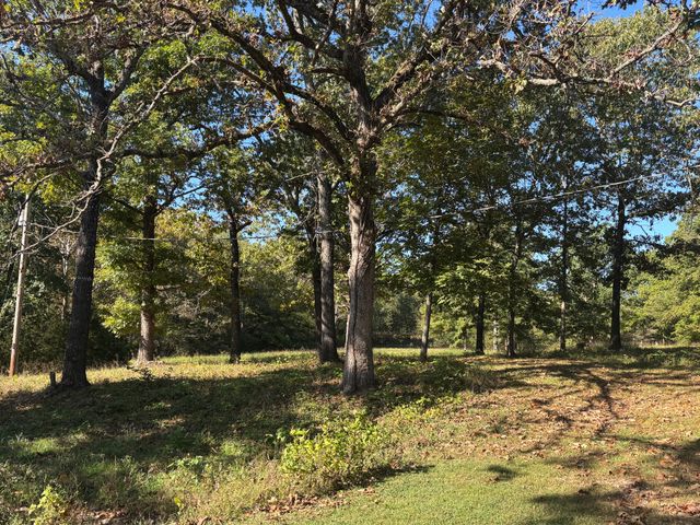 2807 State Highway P, Theodosia, MO 65761