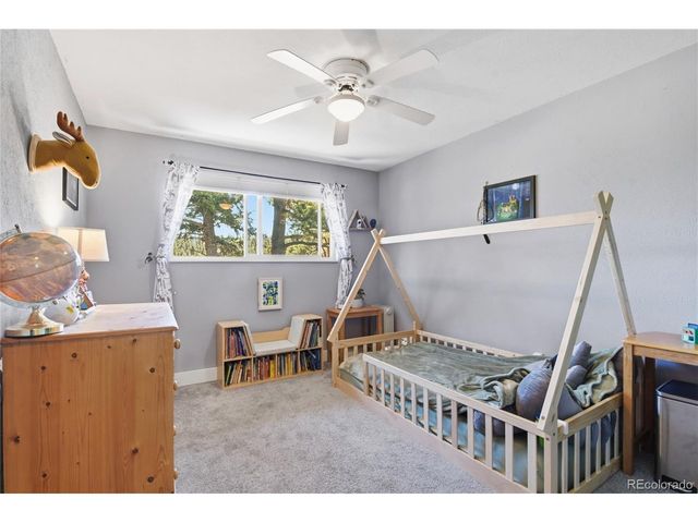 31280 Florence Rd, Conifer, CO 80433