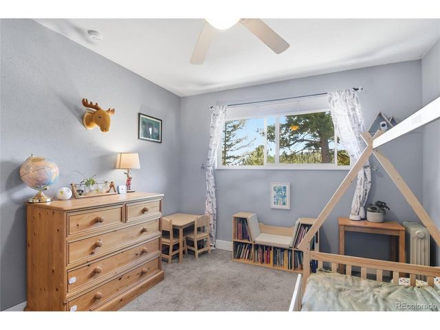 31280 Florence Rd, Conifer, CO 80433