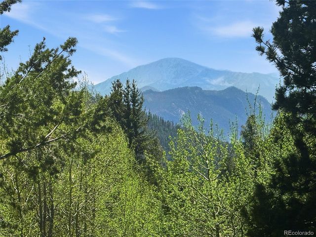 31280 Florence Rd, Conifer, CO 80433