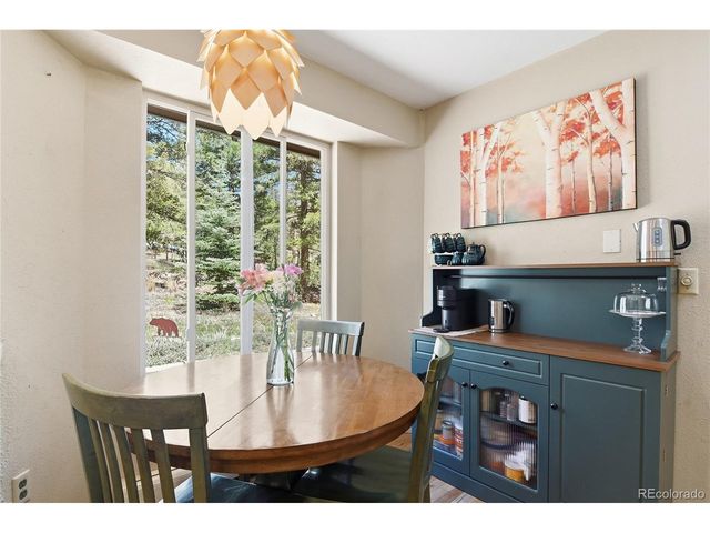 31280 Florence Rd, Conifer, CO 80433