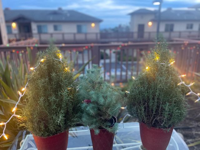 579 Camino Mercado # 518, Arroyo Grande, CA 93420