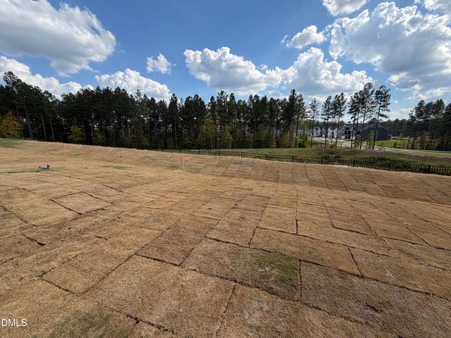115 Carolina Springs Boulevard, Apex, NC 27539