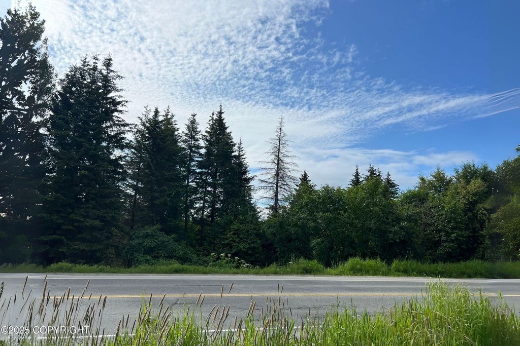 1611 E End Road, Homer, AK 99603