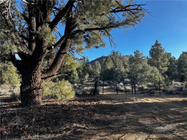 0 310-030-036, Kennedy Meadows, CA 93527
