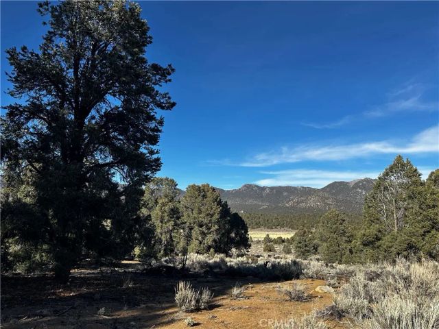 0 310-030-036, Kennedy Meadows, CA 93527
