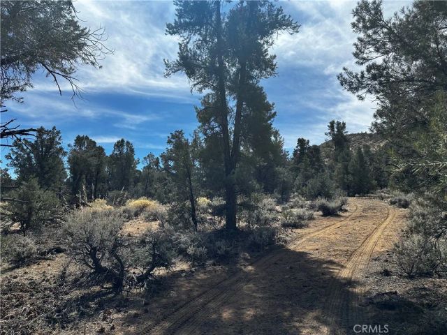 0 310-030-036, Kennedy Meadows, CA 93527