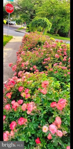 341 CONGRESS AVE, Upper Darby, PA 19050