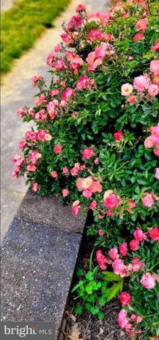 341 CONGRESS AVE, Upper Darby, PA 19050