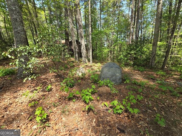 92 Misty Mountain Trail, Morganton, GA 30560