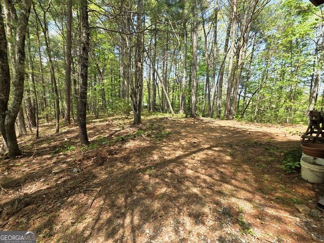 92 Misty Mountain Trail, Morganton, GA 30560