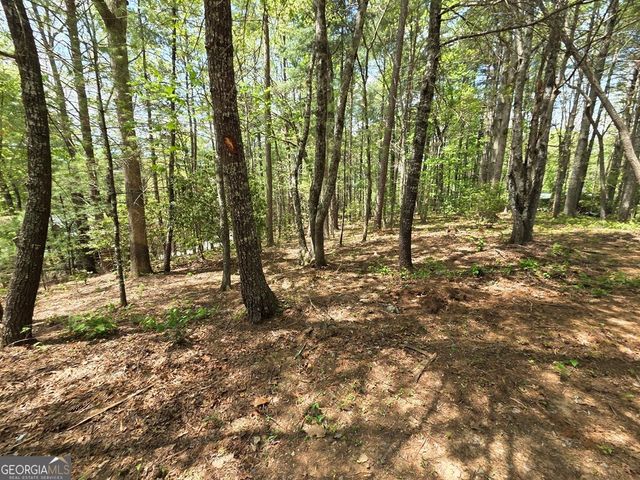 92 Misty Mountain Trail, Morganton, GA 30560
