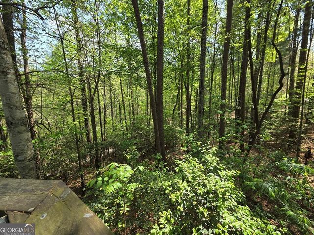 92 Misty Mountain Trail, Morganton, GA 30560