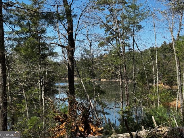 92 Misty Mountain Trail, Morganton, GA 30560