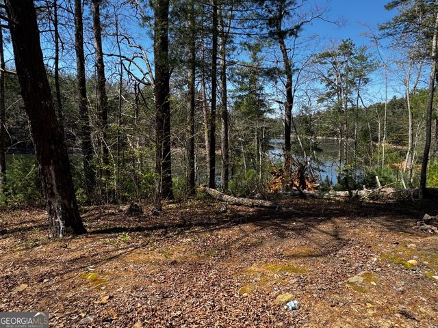 92 Misty Mountain Trail, Morganton, GA 30560