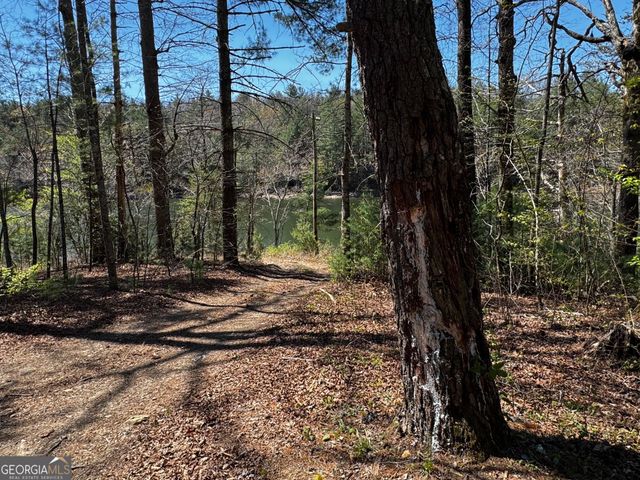 92 Misty Mountain Trail, Morganton, GA 30560