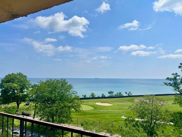 6730 S South Shore Drive 501, Chicago, IL 60649