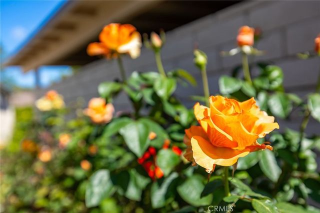 27121 Calle Caballero B, San Juan Capistrano, CA 92675