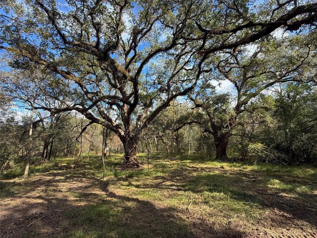 0 Cr 376, West Columbia, TX 77422