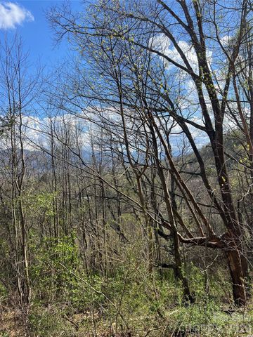 150 Combo Court, Waynesville, NC 28786