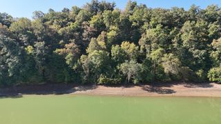 23 Caywood Rd, Dandridge, TN 37725