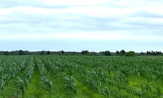 00 County Rd 390, El Campo, TX 77437