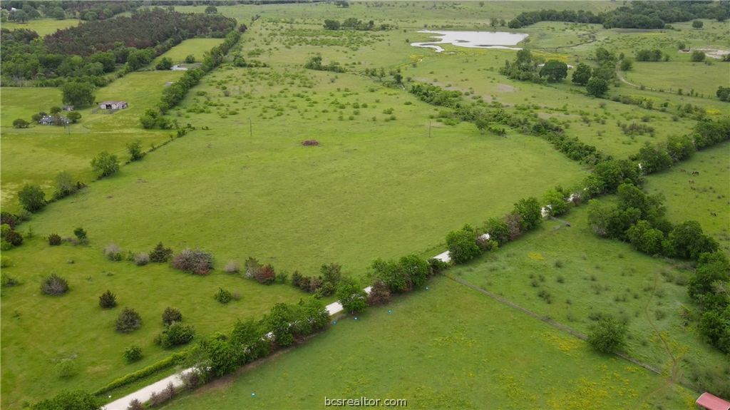 6348 County Road 122, Iola, TX 77861 — photo 4
