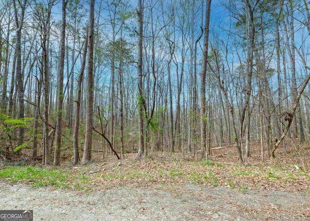 0 Lake View Drive, Lavonia, GA 30553