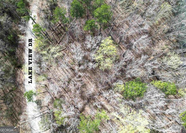 0 Lake View Drive, Lavonia, GA 30553