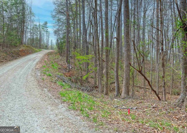 0 Lake View Drive, Lavonia, GA 30553