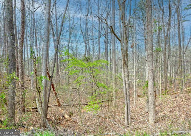 0 Lake View Drive, Lavonia, GA 30553